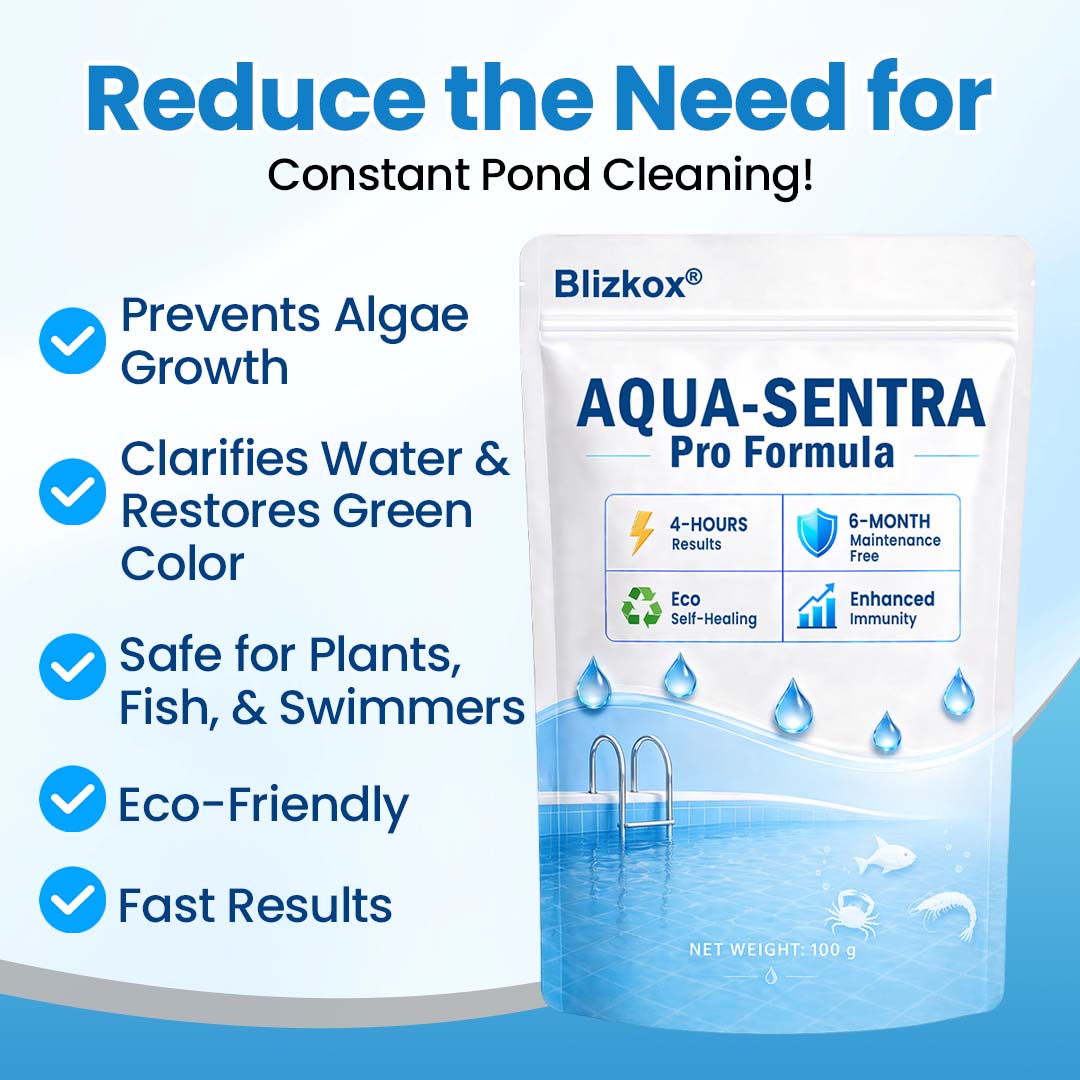 Kristallklar in 12 Stunden! | Blizkox® 💧Aqua-Sentra Pro Formel