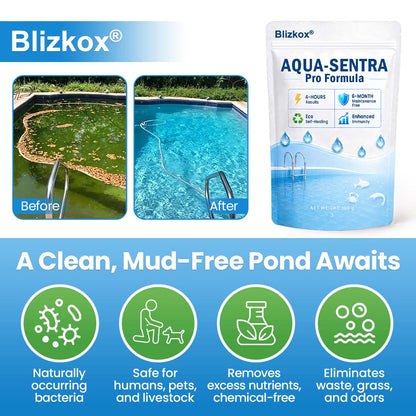 Kristallklar in 12 Stunden! | Blizkox® 💧Aqua-Sentra Pro Formel