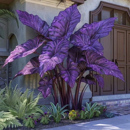 Fast-Growing Giant Alocasia Bulbs💐The Ultimate Statement Plant for Home Decor ✨